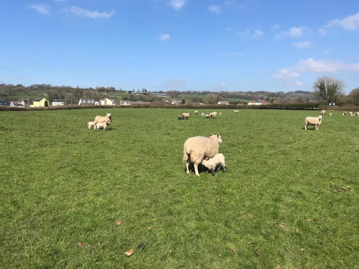 Red Kite Barn Villa Ammanford Luaran gambar