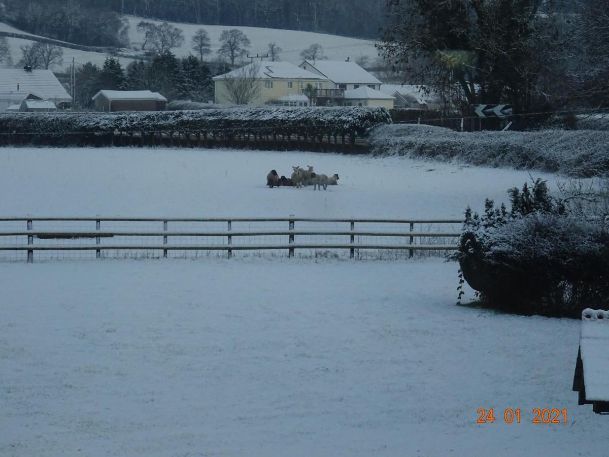 Red Kite Barn Villa Ammanford Luaran gambar