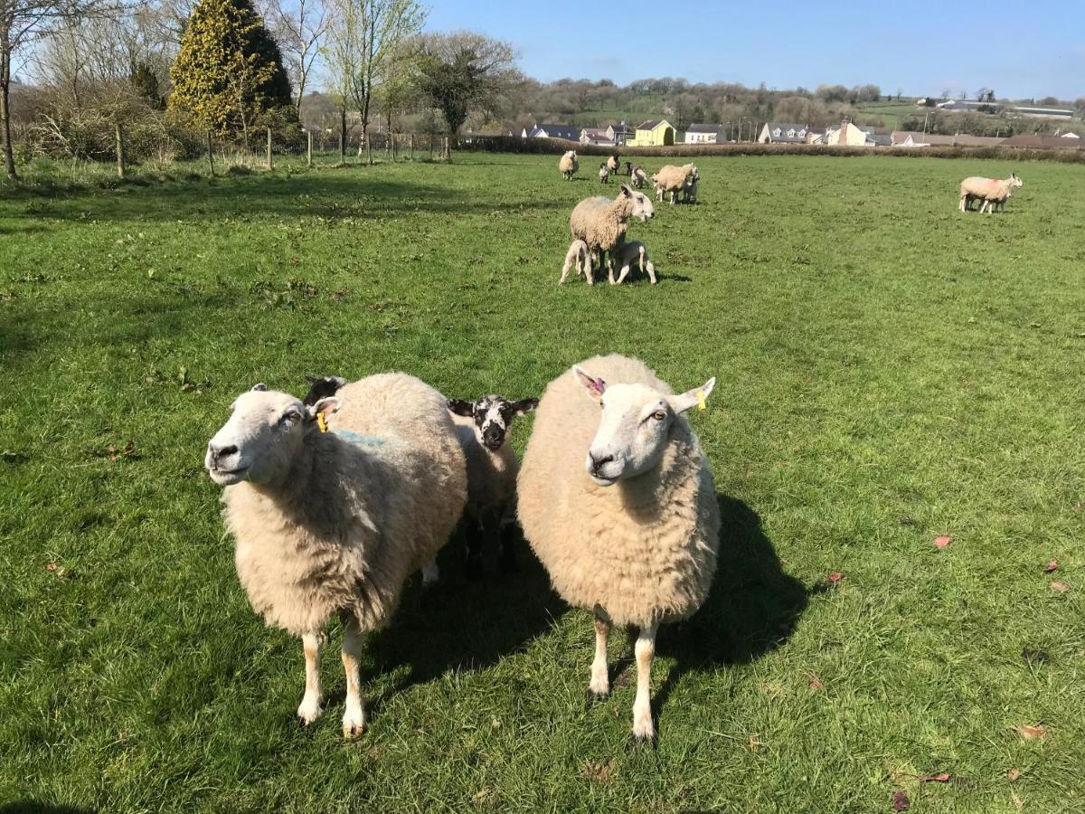Red Kite Barn Villa Ammanford Luaran gambar